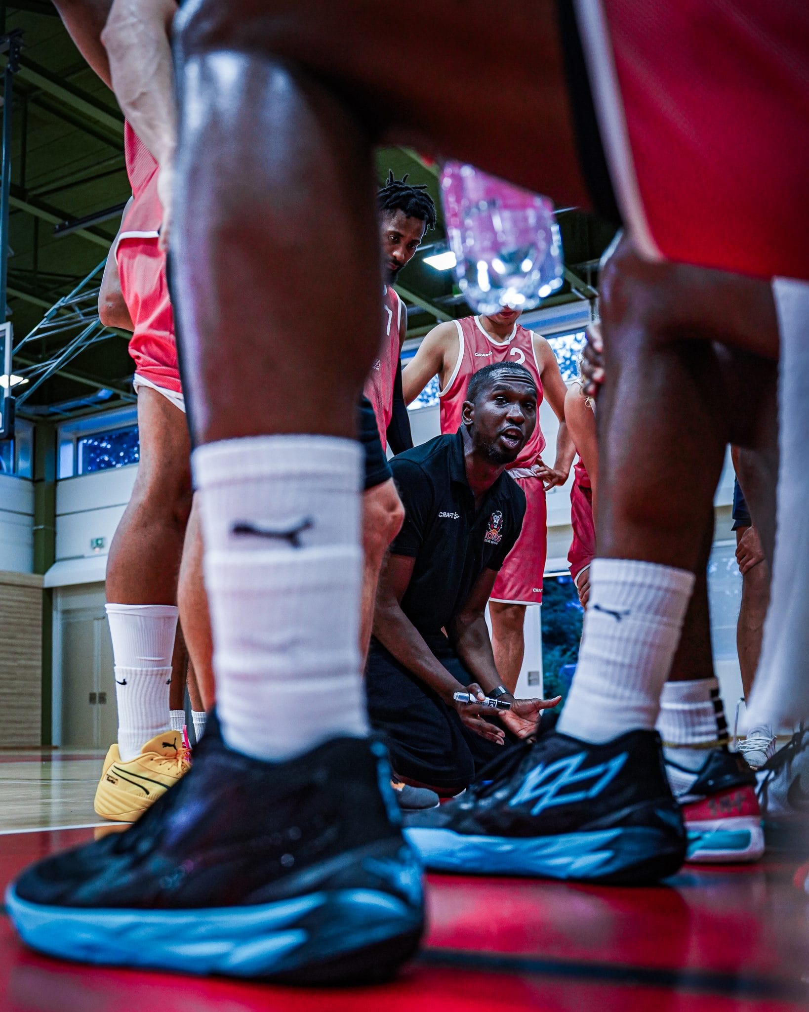 Basket suisse