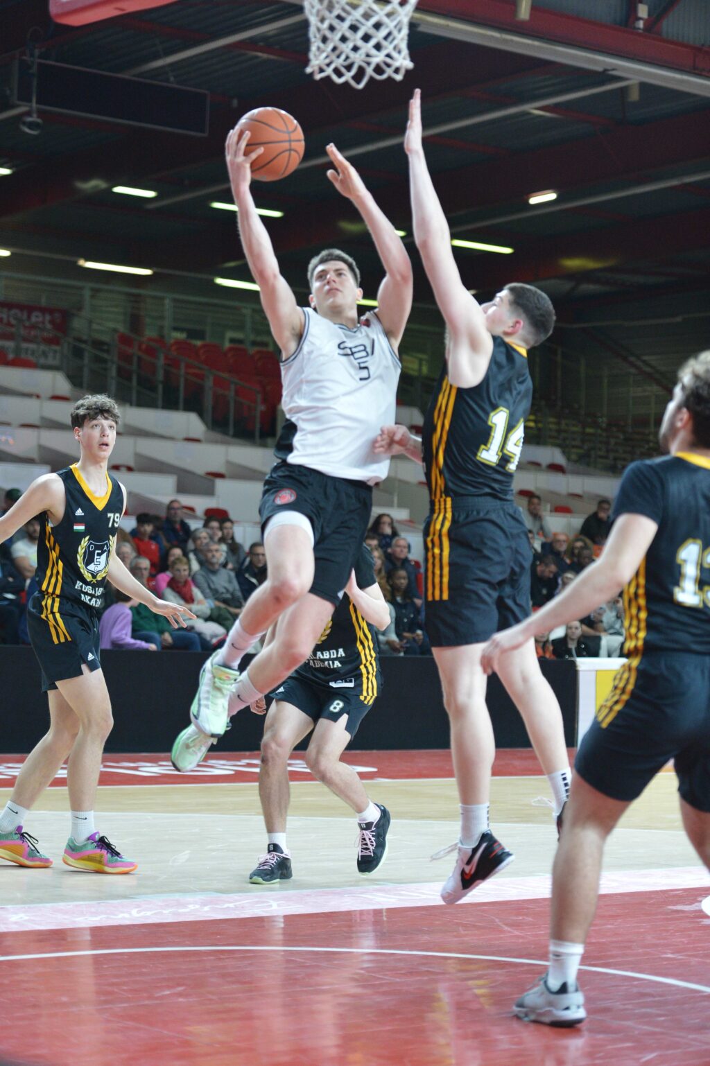 Teodor Trifonov, cliché de l'ailier de l'Est. Crédit : Cholet Mondial Basletball